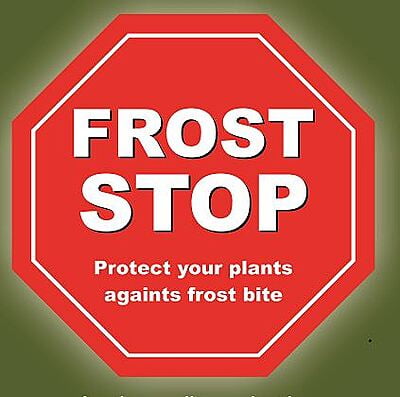 Frost stop 30g - 1.6m x 25m