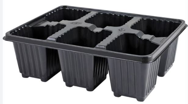 Seedling Tray 6 cavity