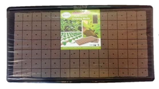 Oasis grow kit - Large