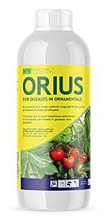 Orius 250 1L