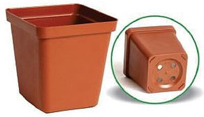 Square plastic pot 10cm - Terra/Black