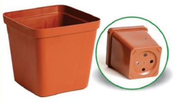 Square plastic pot 12cm - Terra/Black