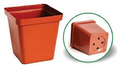 Square plastic pot 5cm - Terra/Black