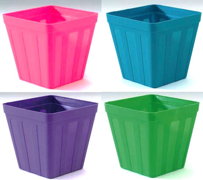 Square pot 8cm Purple/Lime/Pink/Turquoise