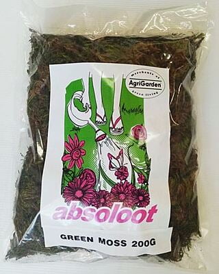 Green moss 200g